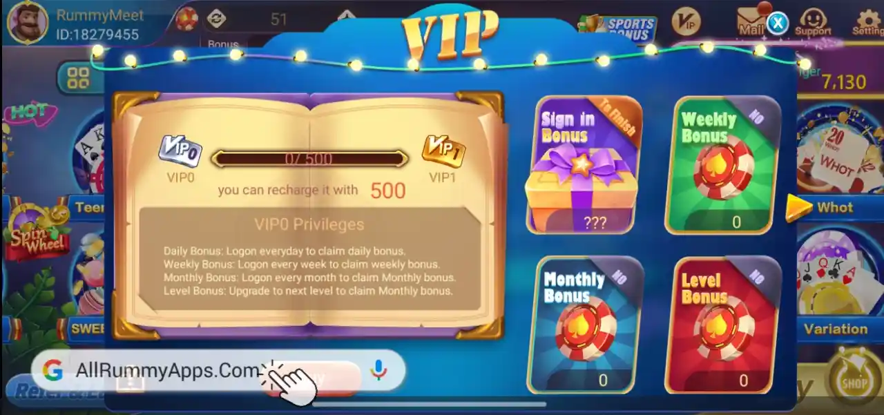 Meet Rummy VIP Features